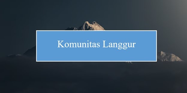 Komunitas